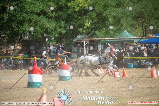 Mintakép 20260809-1067