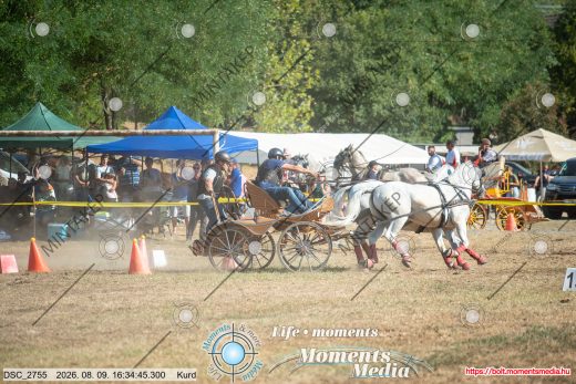 Mintakép 20260809-1068