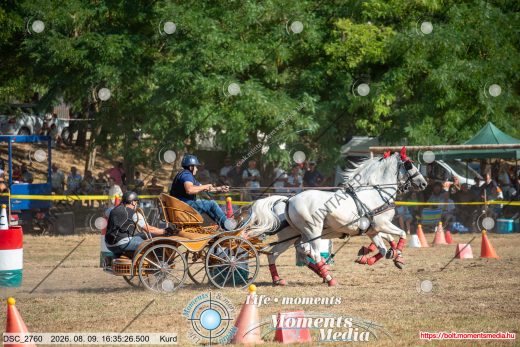 Mintakép 20260809-1072