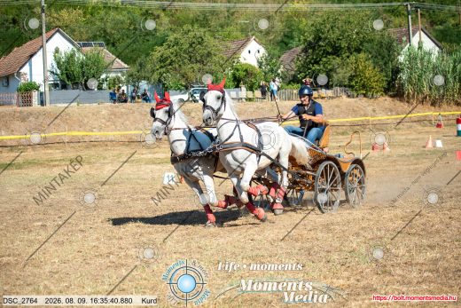 Mintakép 20260809-1075