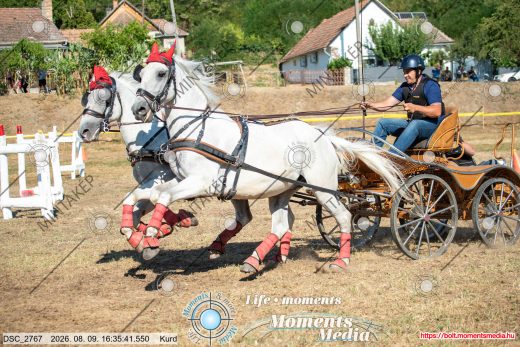 Mintakép 20260809-1078