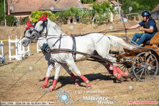 Mintakép 20260809-1079