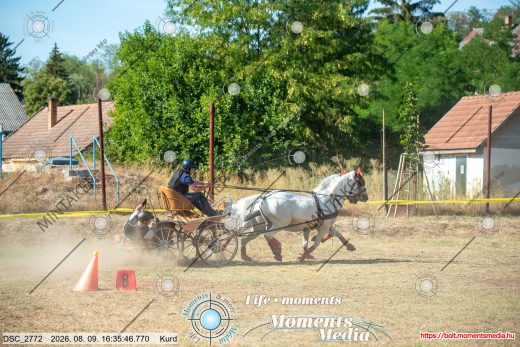 Mintakép 20260809-1083