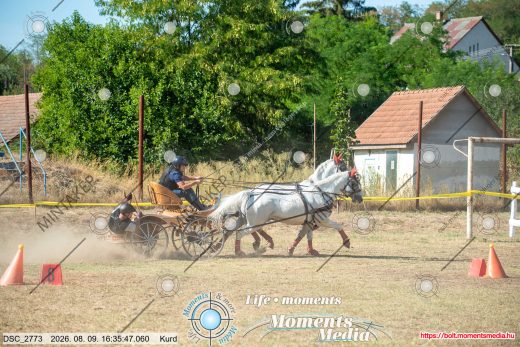 Mintakép 20260809-1084