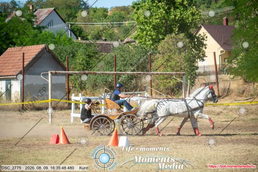 Mintakép 20260809-1086