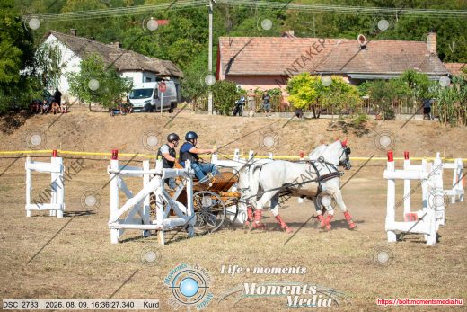 Mintakép 20260809-1091
