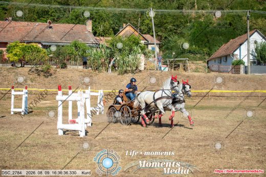 Mintakép 20260809-1092