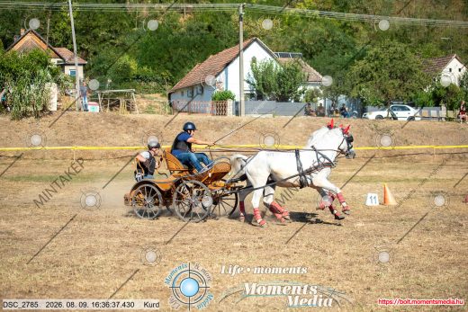 Mintakép 20260809-1093