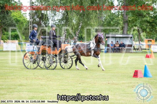 Mintakép 20260614-783