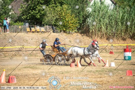 Mintakép 20260809-1097
