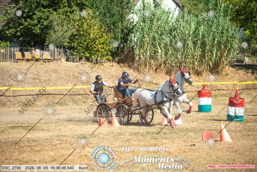 Mintakép 20260809-1098