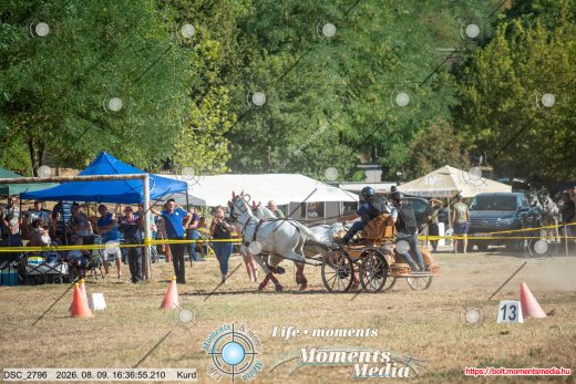 Mintakép 20260809-1104