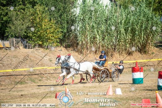 Mintakép 20260809-1105