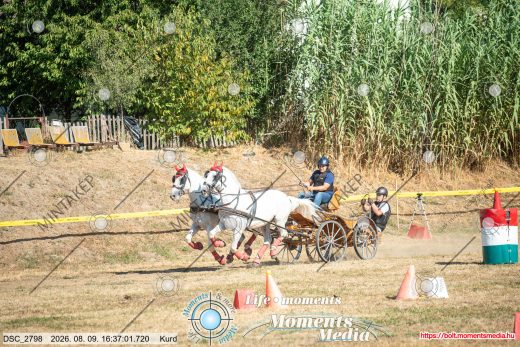 Mintakép 20260809-1106