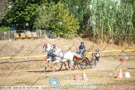Mintakép 20260809-1107