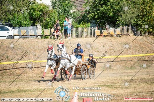 Mintakép 20260809-1108
