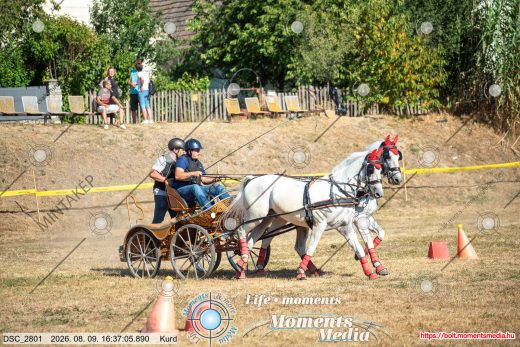 Mintakép 20260809-1109