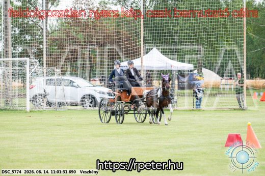 Mintakép 20260614-785