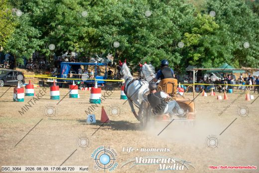 Mintakép 20260809-1124