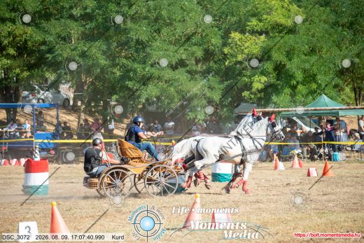Mintakép 20260809-1130