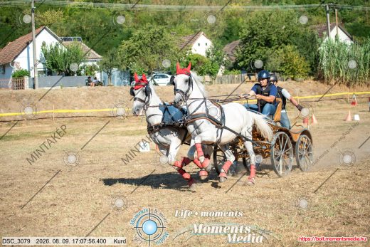Mintakép 20260809-1135