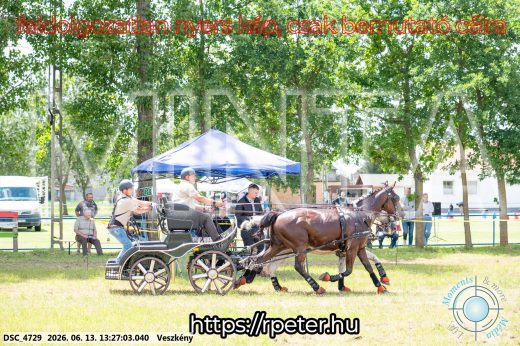 Mintakép 20260613-139
