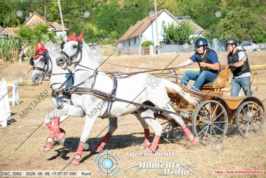 Mintakép 20260809-1137
