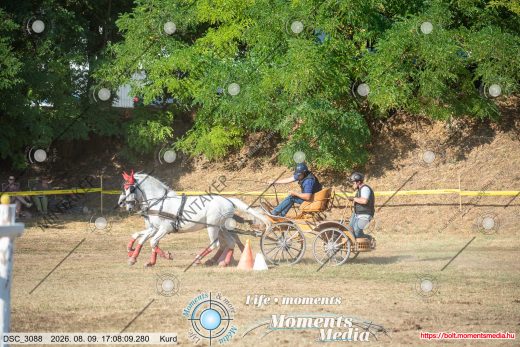Mintakép 20260809-1141
