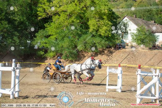 Mintakép 20260809-1142