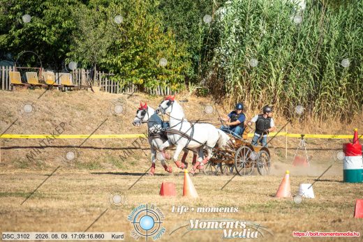Mintakép 20260809-1154