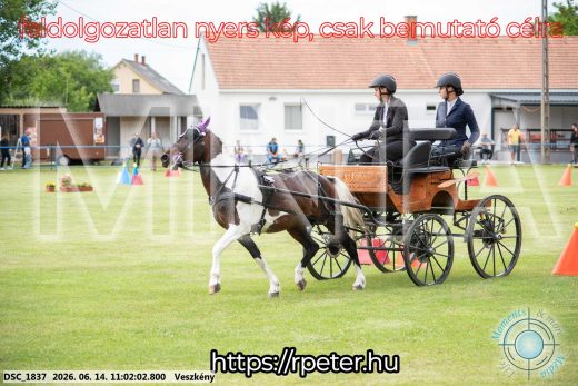 Mintakép 20260614-790