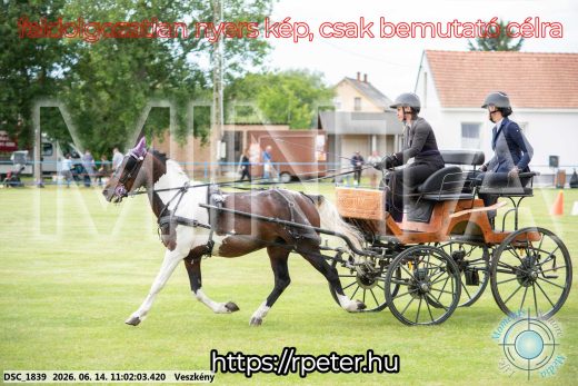 Mintakép 20260614-792
