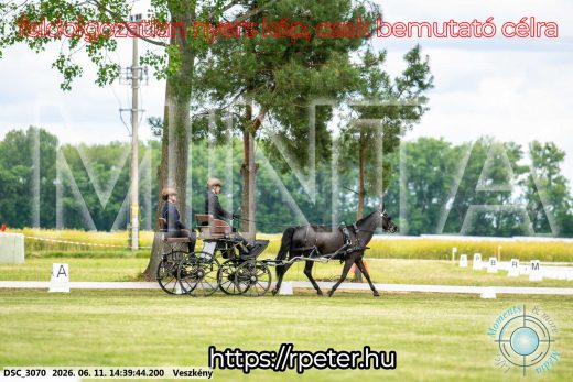 Mintakép 20260611-76