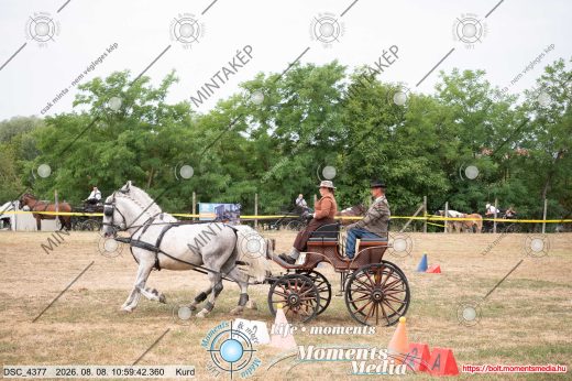 20260808-105942-DSC_4377.jpg