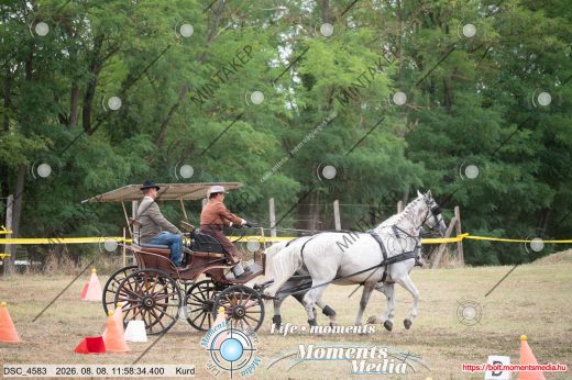 Mintakép 20260808-443