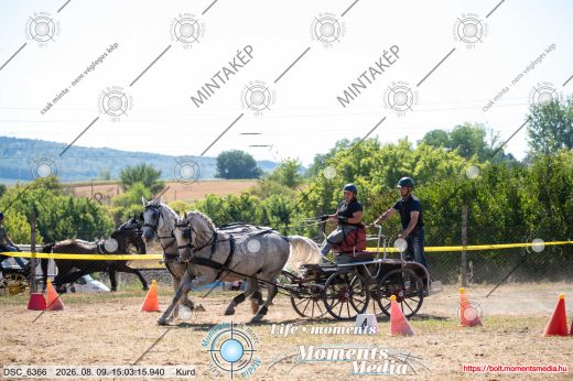 Mintakép 20260809-1219