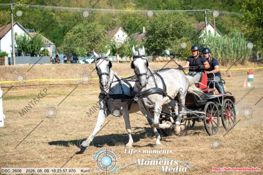 Mintakép 20260809-1247