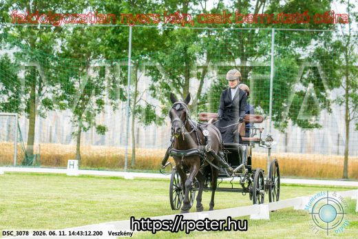 Mintakép 20260611-81