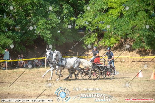 Mintakép 20260809-1258