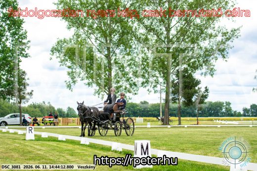 Mintakép 20260611-82