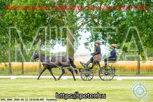 Mintakép 20260611-83