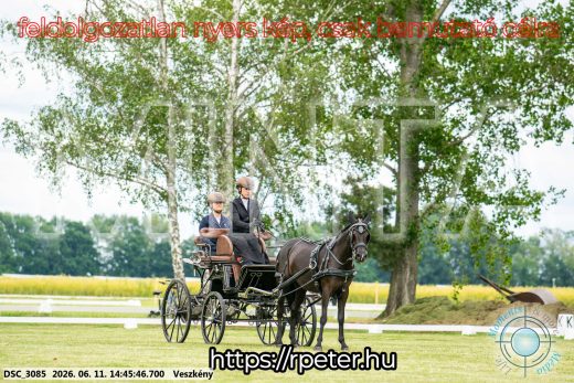 Mintakép 20260611-84