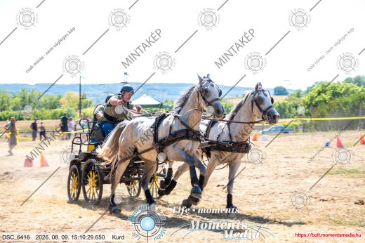 Mintakép 20260809-1289