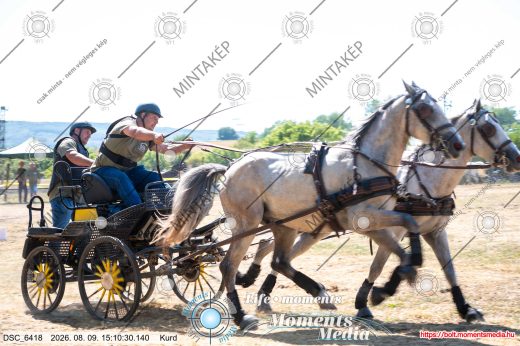 Mintakép 20260809-1290