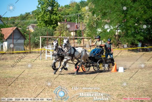 Mintakép 20260809-1294