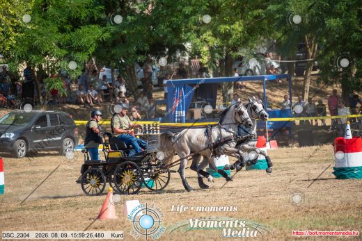 Mintakép 20260809-1296