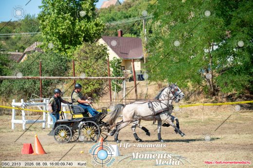 Mintakép 20260809-1303