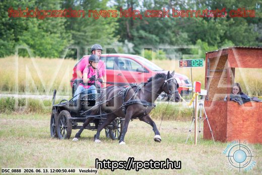 Mintakép 20260613-1619