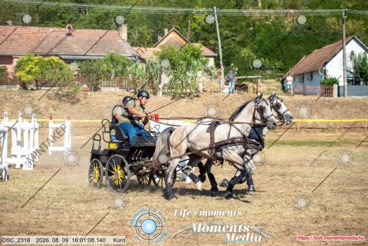 Mintakép 20260809-1304