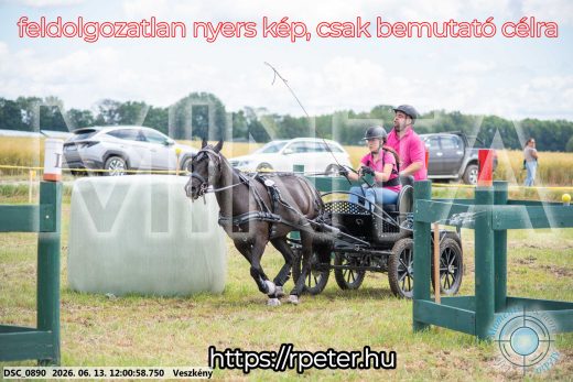 Mintakép 20260613-1622